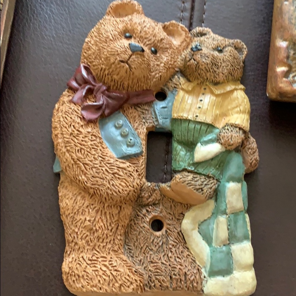 Bear switch cover